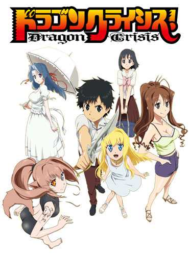 Dragon Crisis! game cover